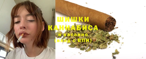 не бодяженный Заводоуковск