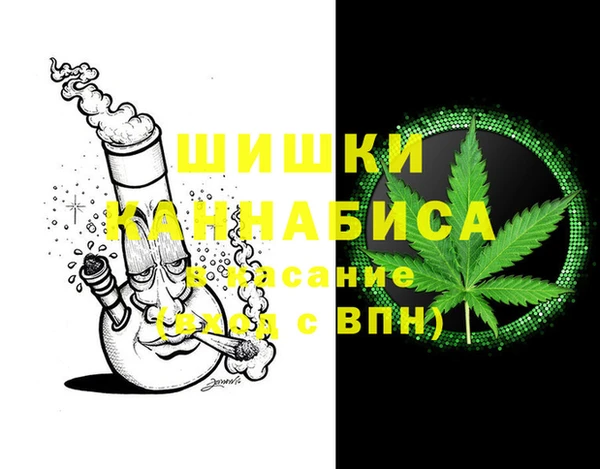 не бодяженный Заводоуковск