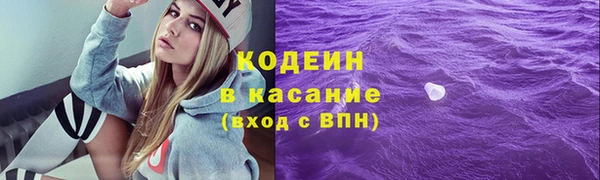 не бодяженный Заводоуковск